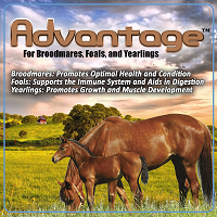 Advantage daily supplement for horses from Oxy-Gen 