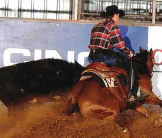 robert chown working cow horse champion extreme gi care testimonial